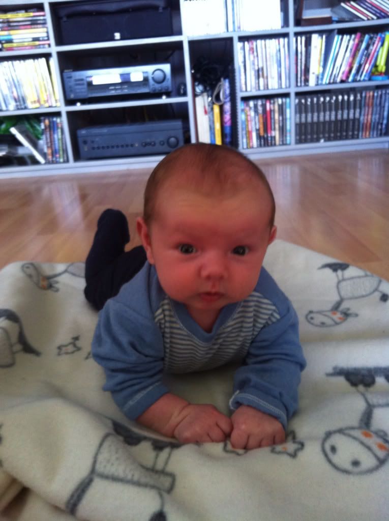 Photobucket Pictures, Images and Photos