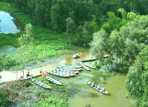 Khám phá rừng tràm nguyên sinh nổi tiếng tại Long An