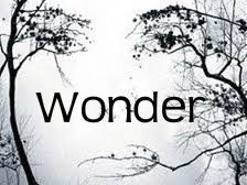 wonder photo: Wonder Wonder.jpg