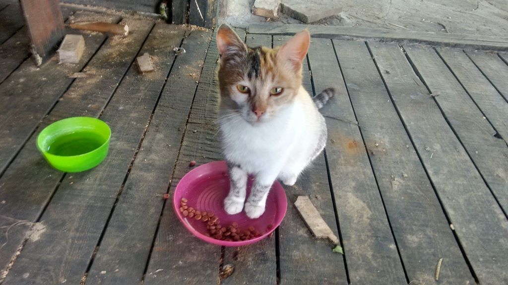 IMG_20170504_093837418_HDR_zpsegt9va4o.j