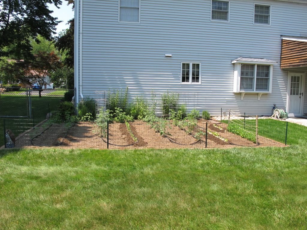 1stGarden.jpg