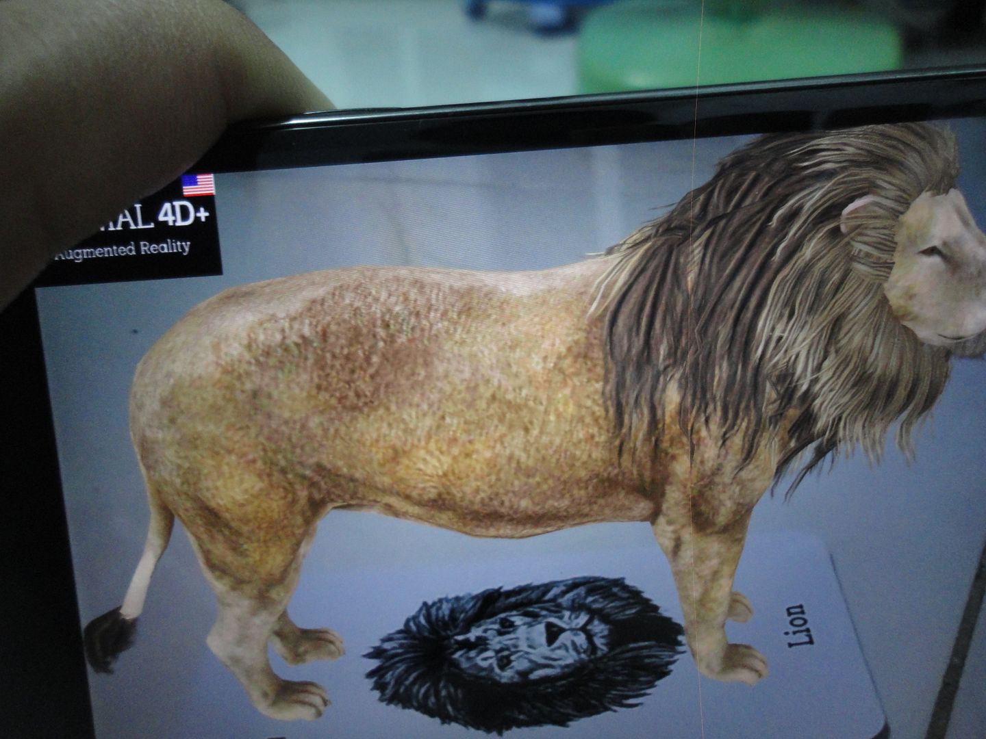 Card 4d animals cho pé học - 1