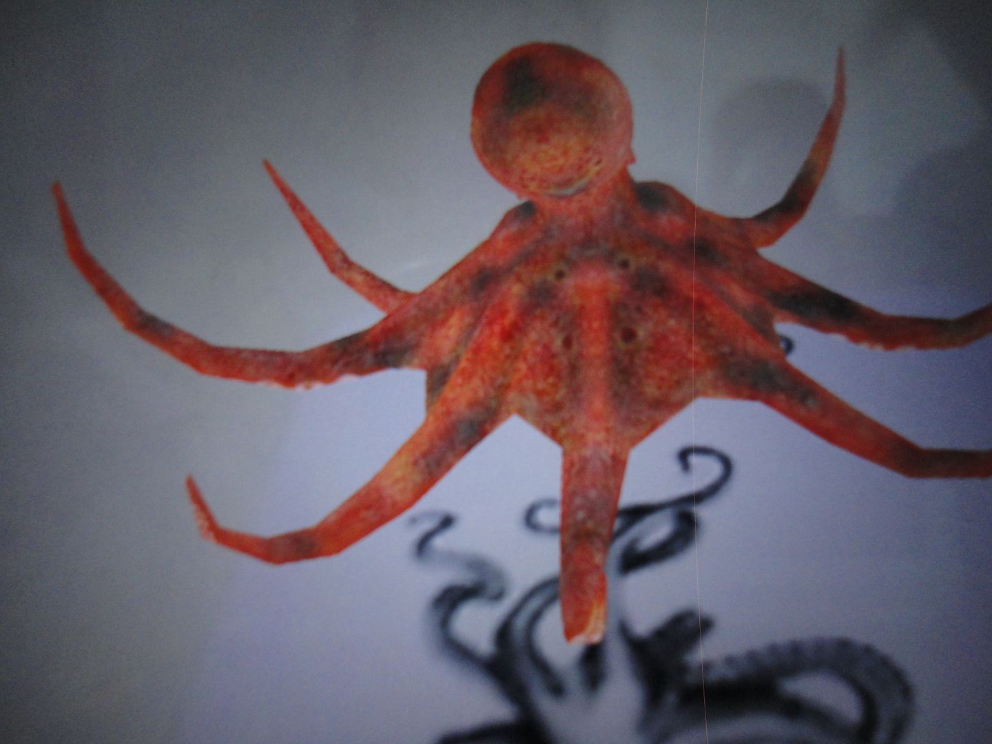 Card 4d animals cho pé học - 2