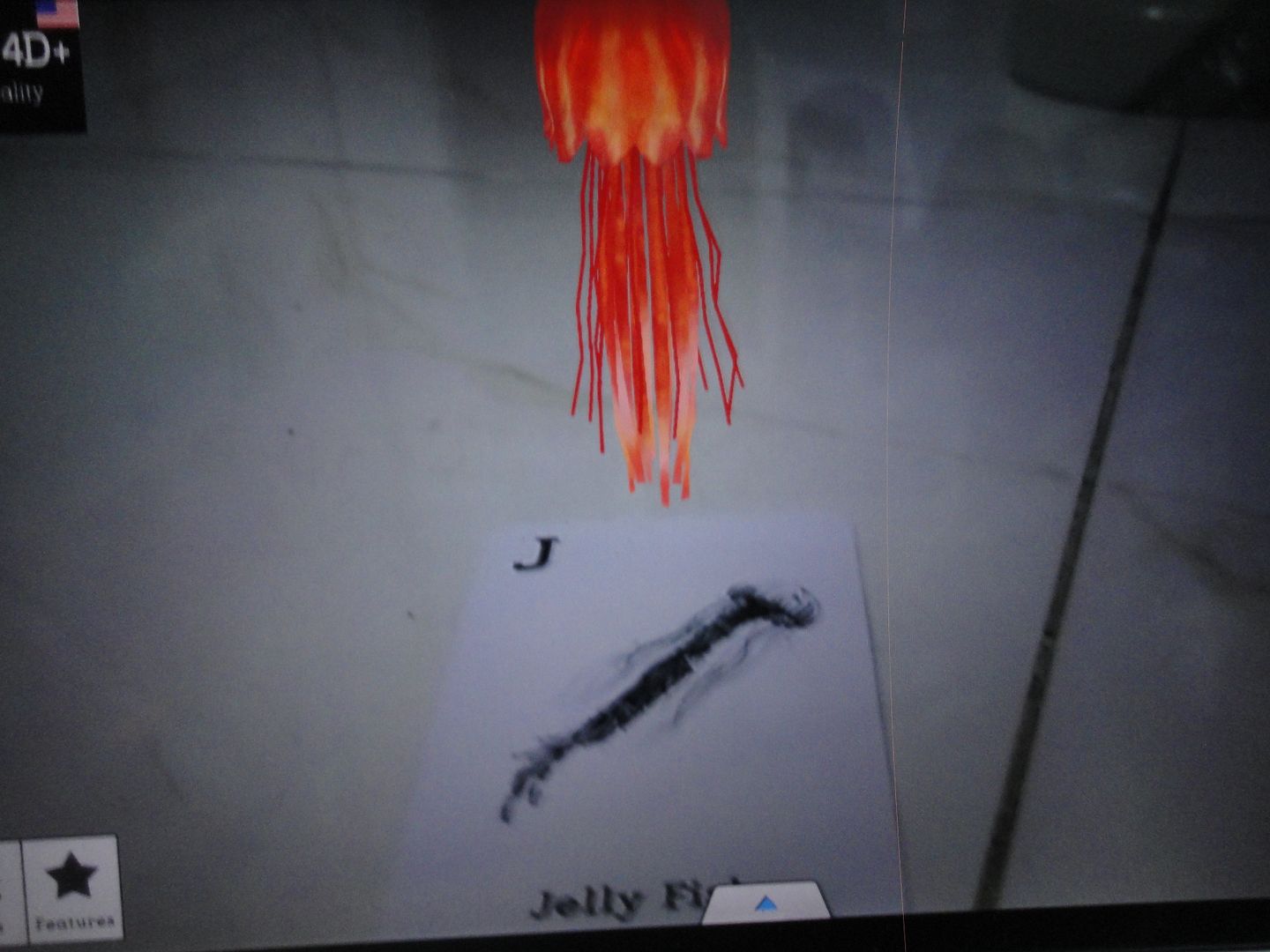 Card 4d animals cho pé học - 3