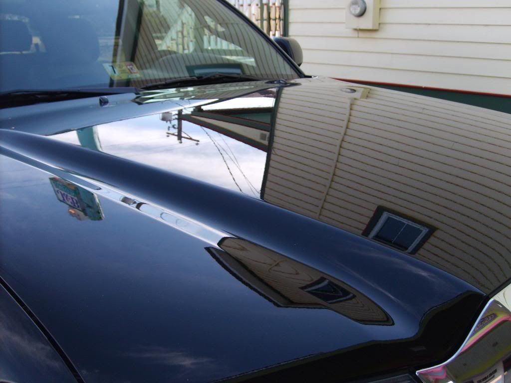 S5003860_zps0e8254c4.jpg