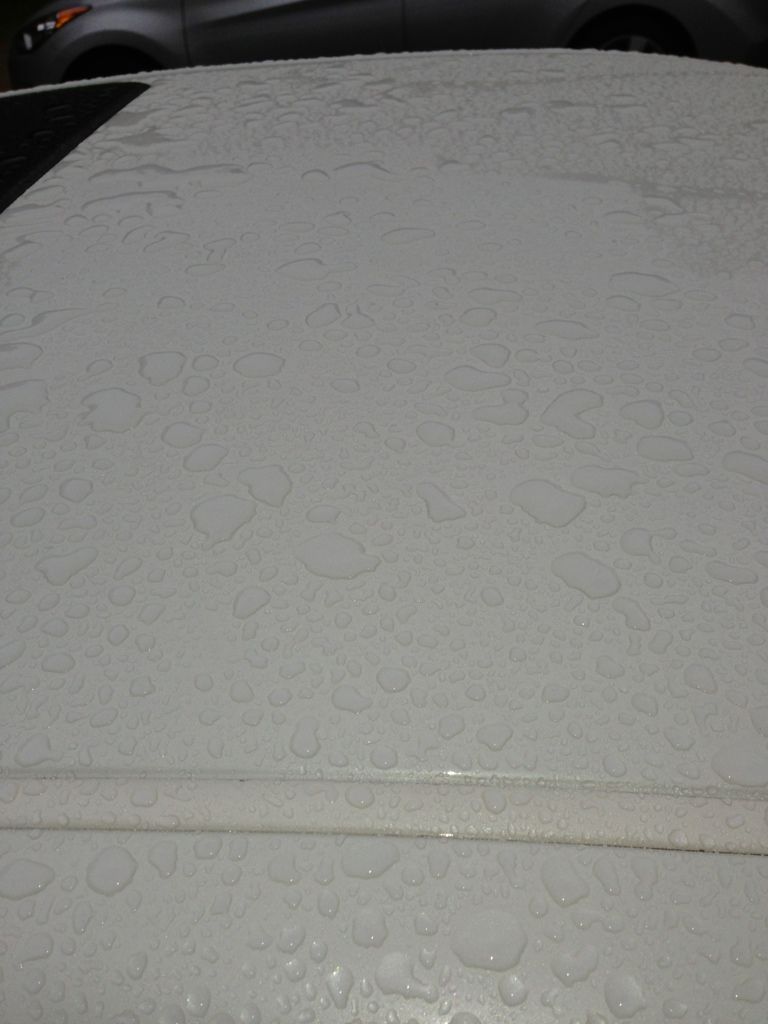 14846592-5A60-4F5E-82C7-913A2BC9DE13-5379-00000424BEA9488E.jpg