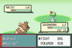 PokemonEmerald17.png