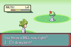 PokemonEmerald18.png