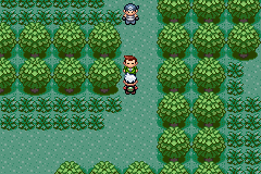 PokemonEmerald24.png