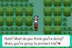 PokemonEmerald25.png