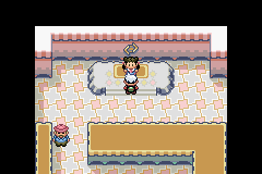 PokemonEmerald32.png