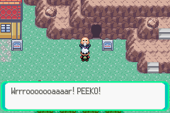 PokemonEmerald40.png