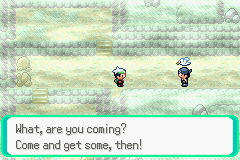 PokemonEmerald42.png