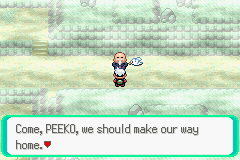 PokemonEmerald45.png