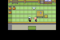 PokemonEmerald55.png