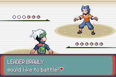 PokemonEmerald62.png