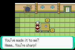 PokemonEmerald82.png