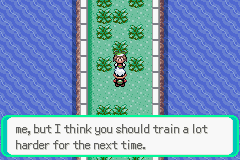 PokemonEmerald87.png