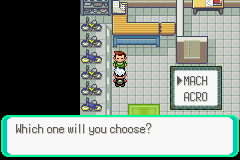 PokemonEmerald91.png