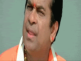 Brahmi_turn2-1.gif