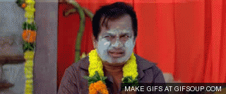 brahmanandamholi.gif