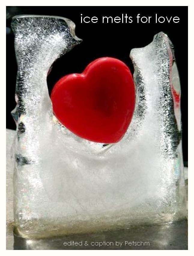 ice melts for love_edited + caption by Petschm 2013 photo heart_lovemeltsice_fromJanjaansalbum.jpg