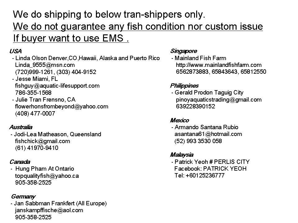 Tran Shipper list
