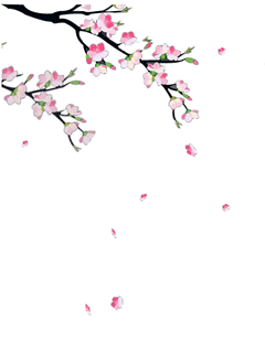  photo animasi-bunga-sakura-berguguran_zpscdf4f562.gif