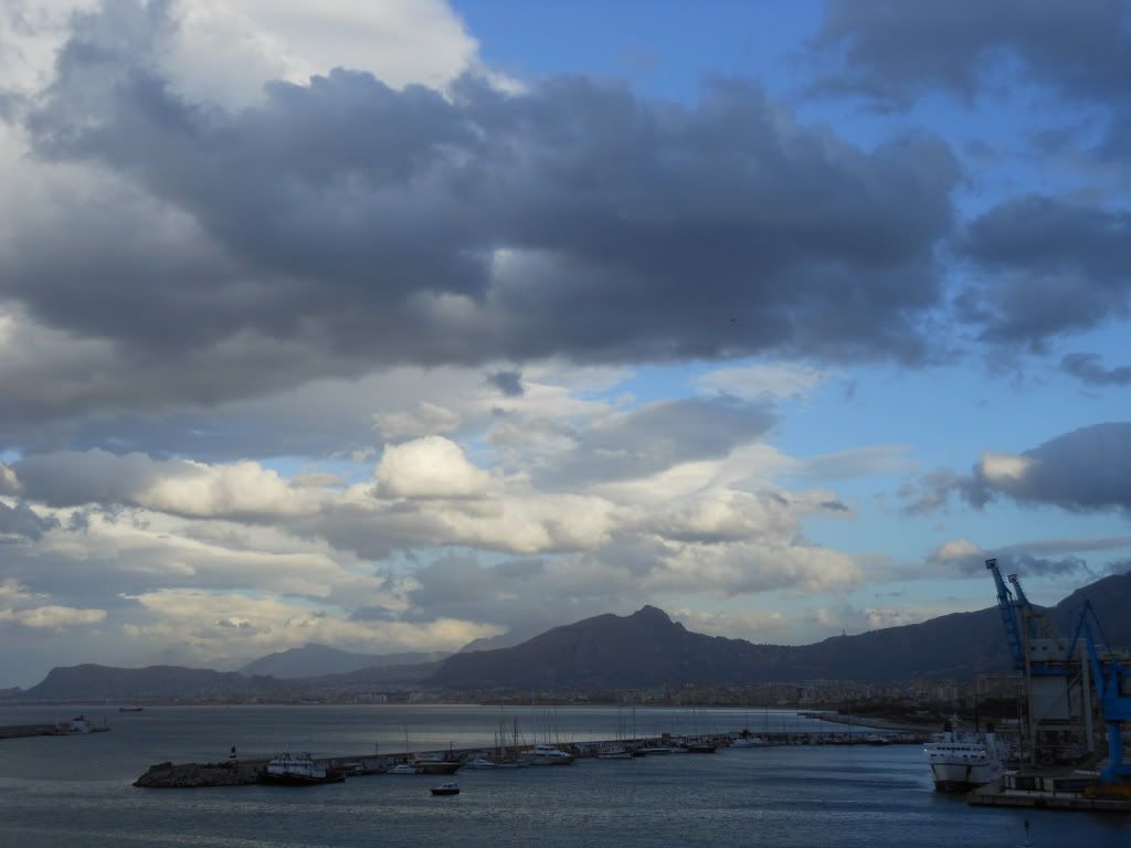 DSCN1364.jpg