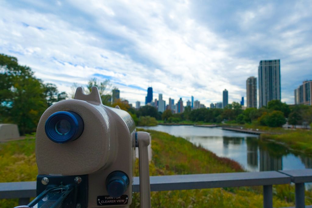 skyline at the zoo