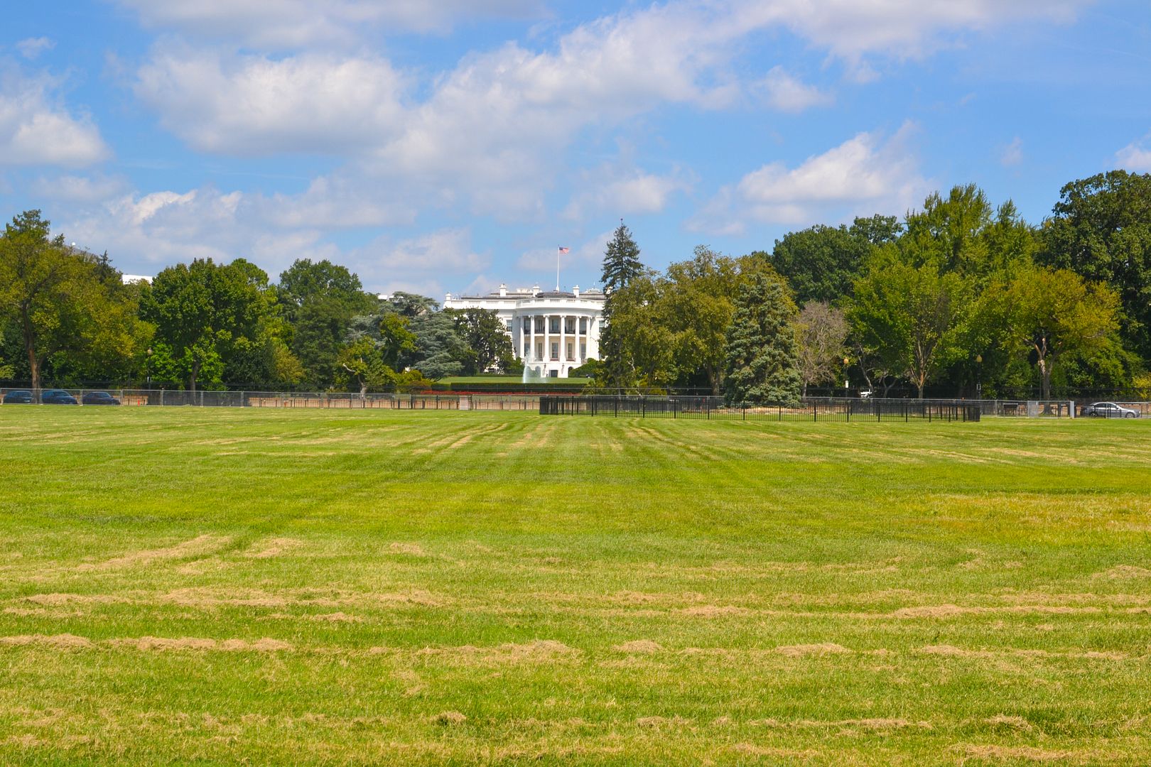 the white house