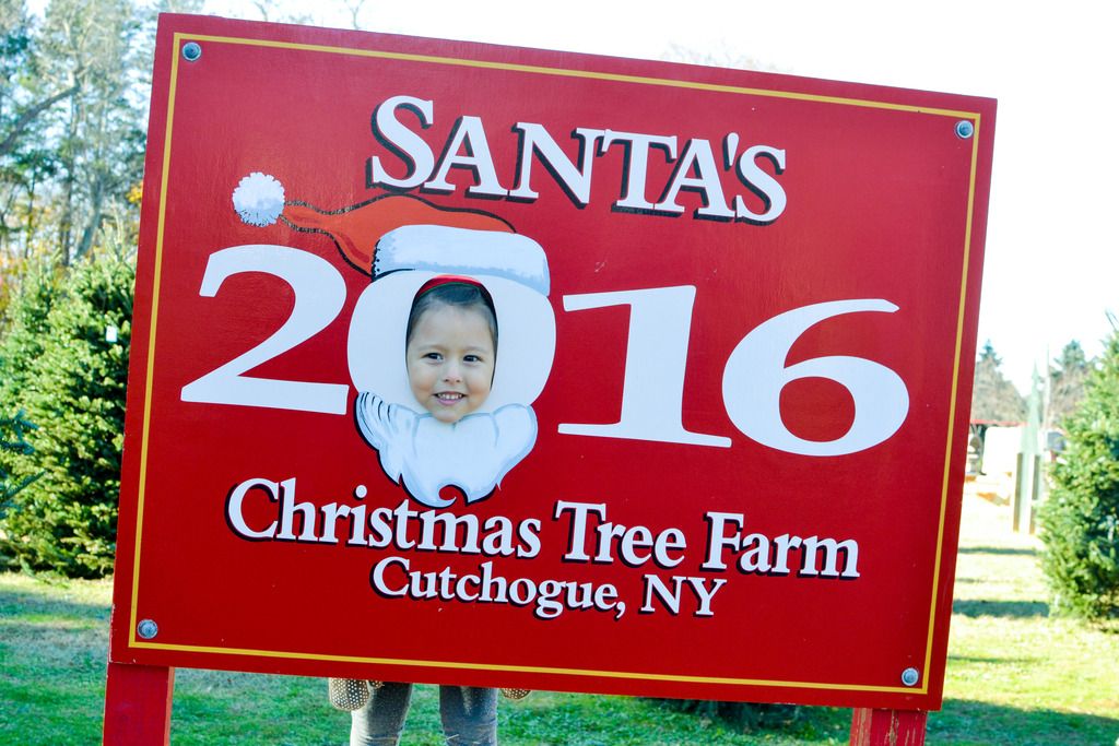 santas christmas tree farm