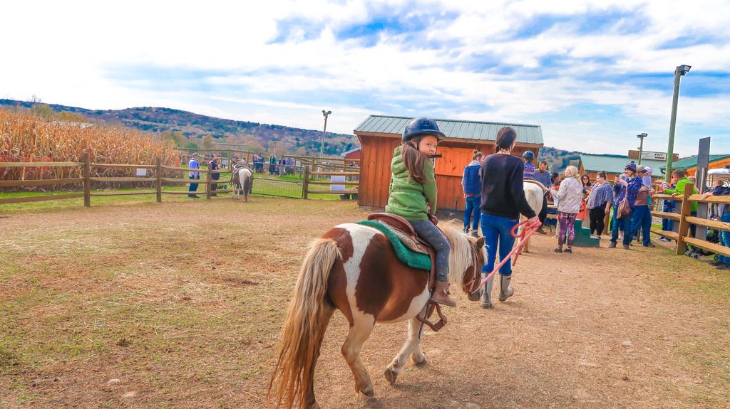 pony rides