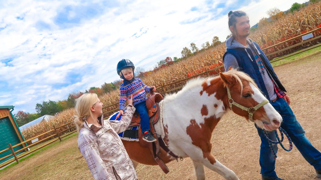 horse back riding