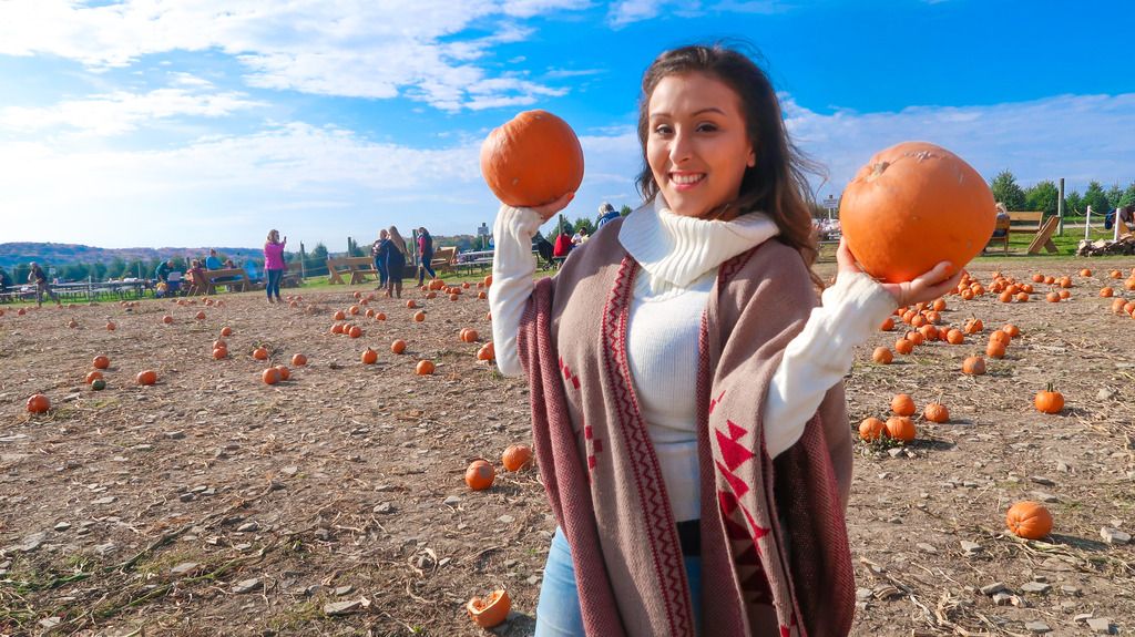 pumpkins