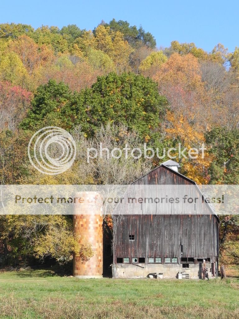 Maggie Fall Leaves Hocking Hills Ohio | German Shepherds Forum