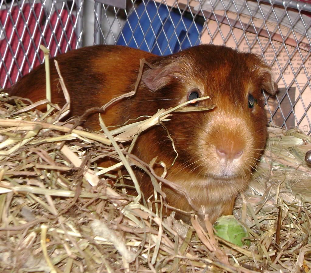 DSC00237.jpg