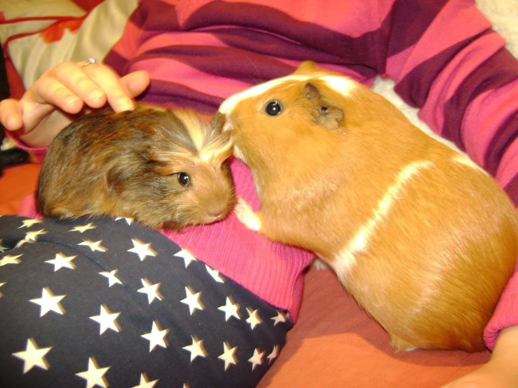 DSC00444.jpg