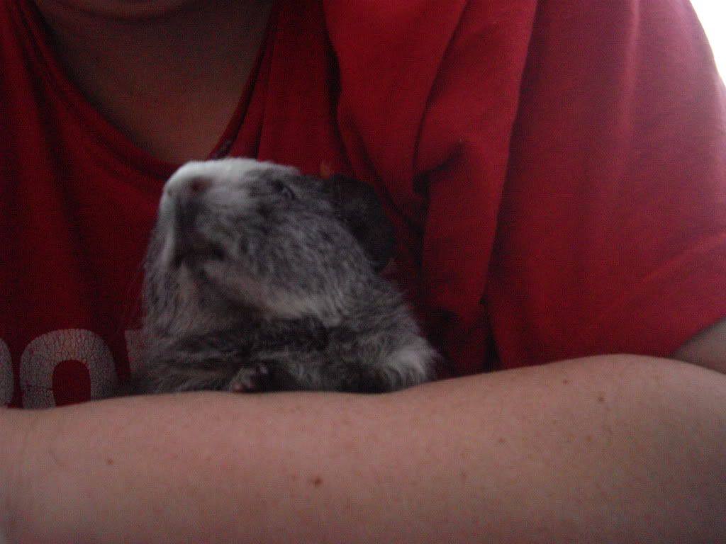 IMGP0881.jpg