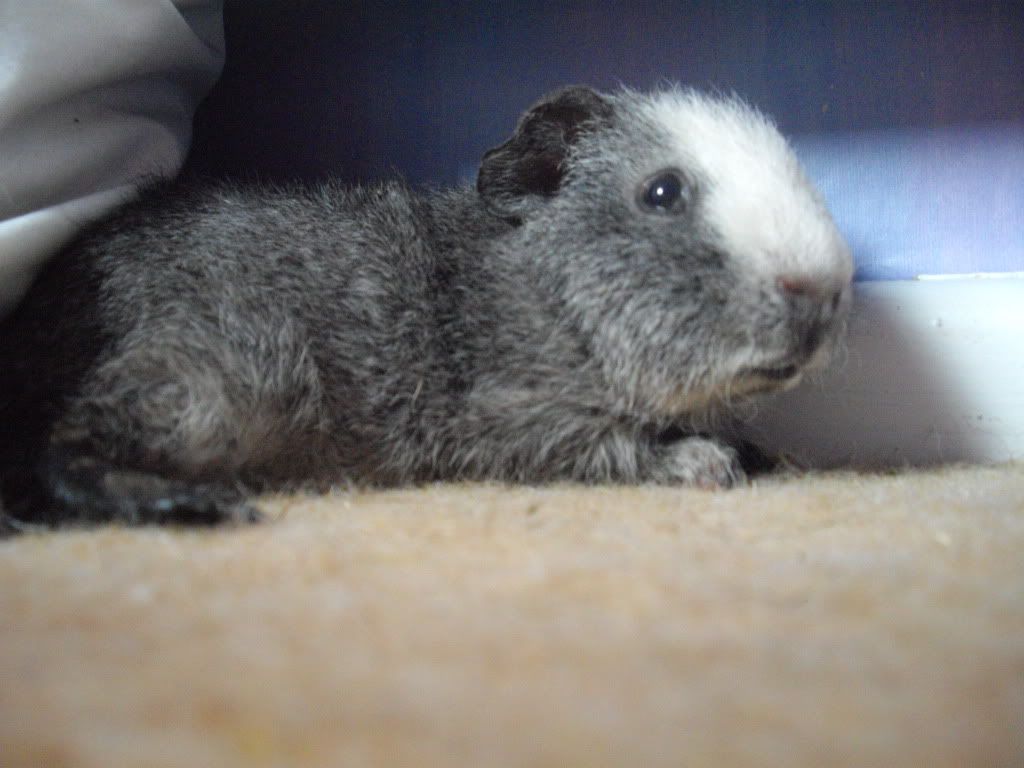 IMGP0935.jpg