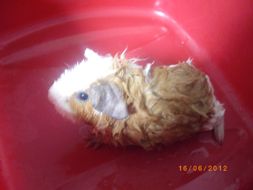 IMGP1112.jpg