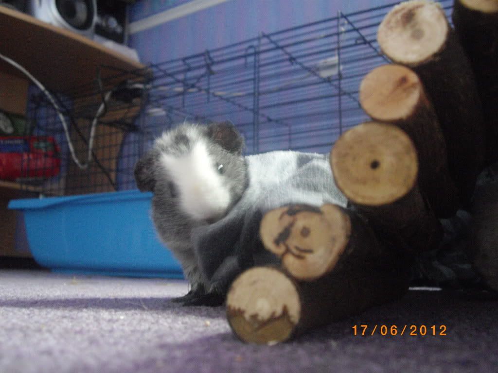 IMGP1172.jpg