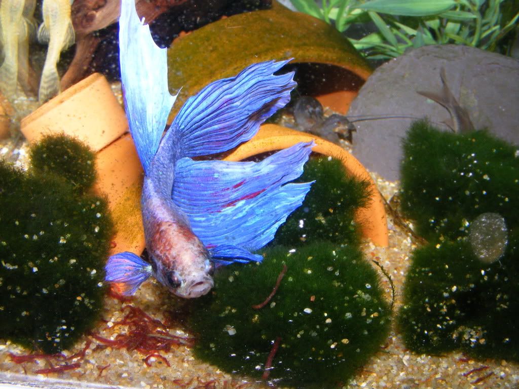 DSCF2613.jpg
