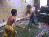 fig_zps3dc26fa1.gif