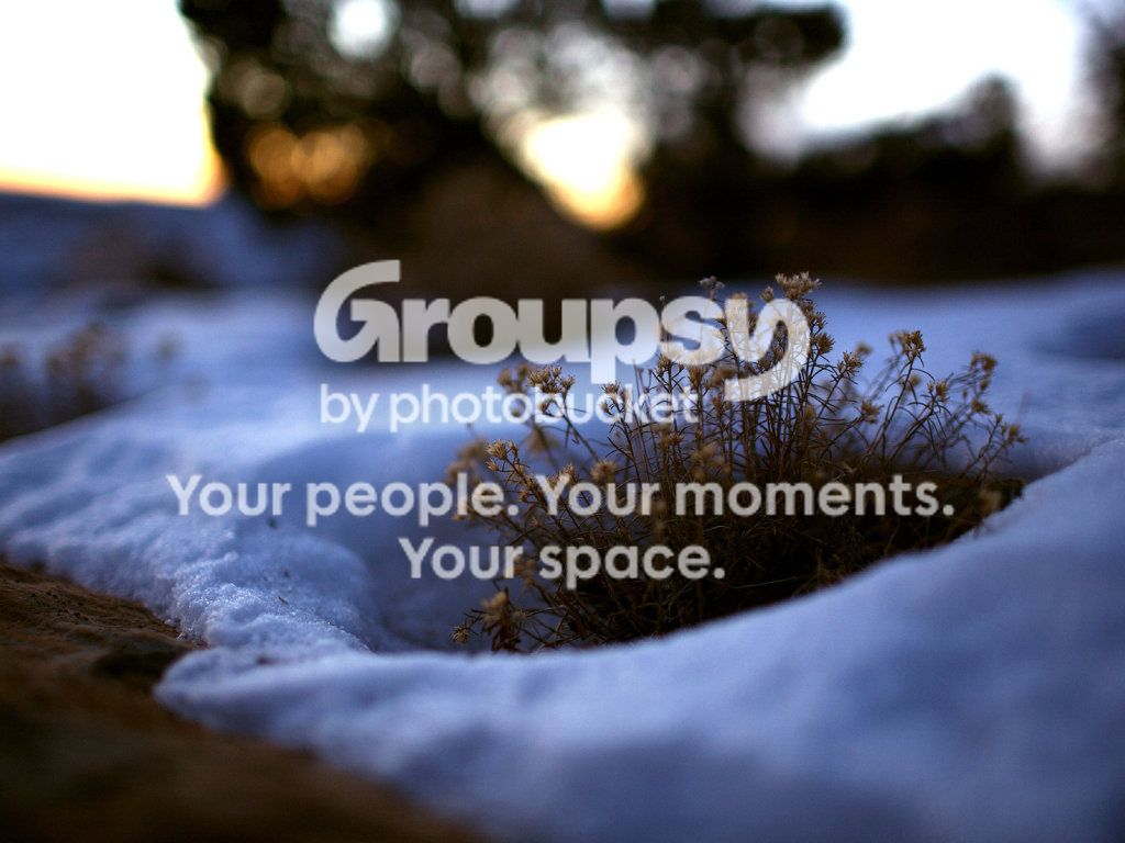 snow20wallpapers20hd2.jpg